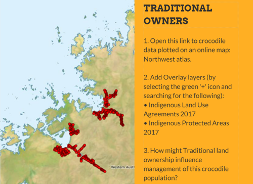 Saltwater crocs Traditional Owners