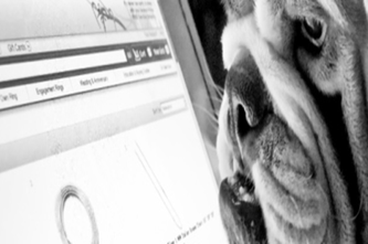 Microsoftexcelactivities Thumbnail