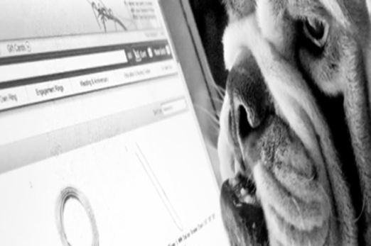 Microsoftexcelactivities Thumbnail