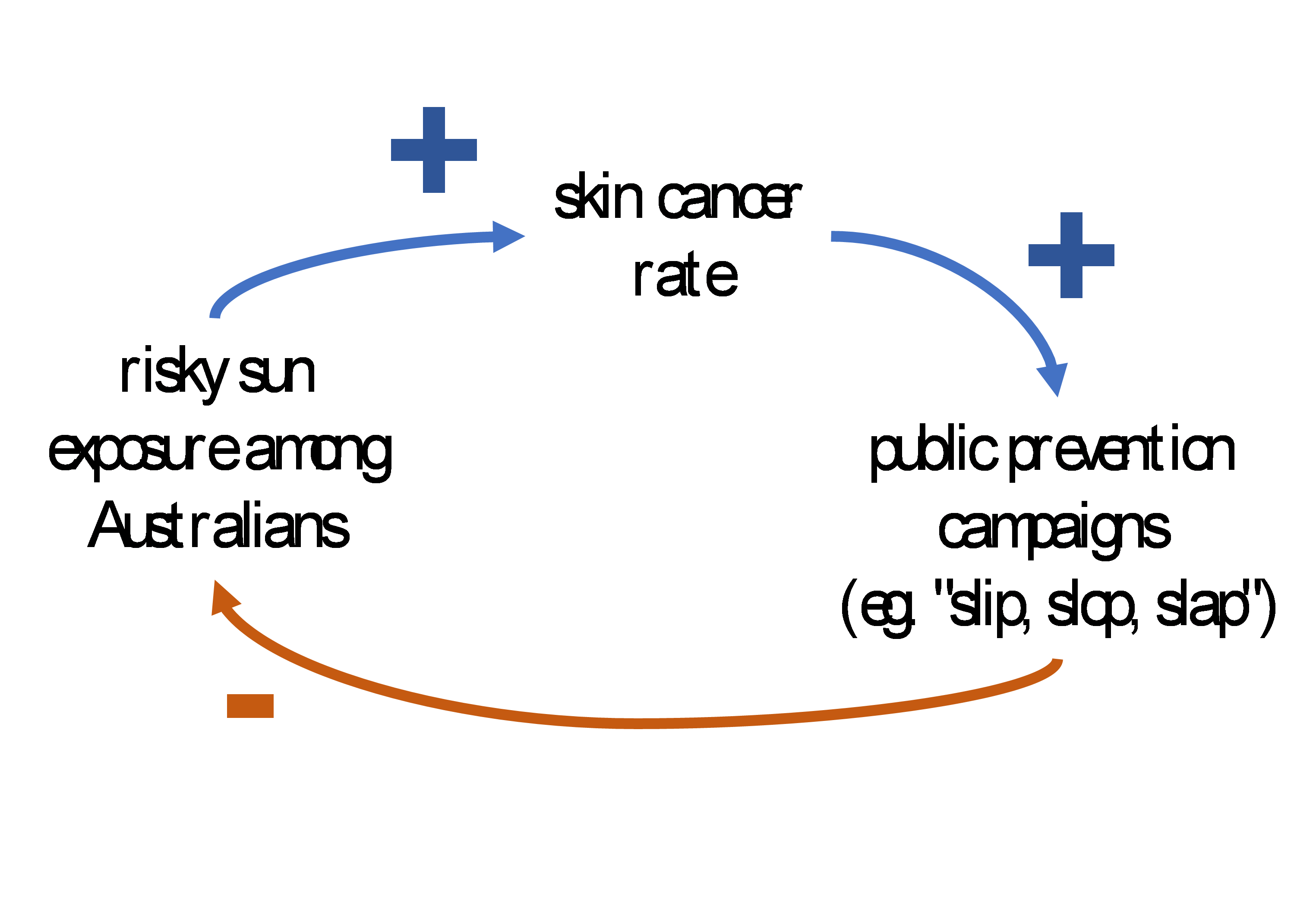 A diagram showing a feedback loop that begins with risky sun exposure among Australians. This leads to increased skin cancer rates. Which leads to increased public prevention campaigns such as slip, slop, slap. Which creates a negative feedback loop to reduce risky sun exposure among Australians.
