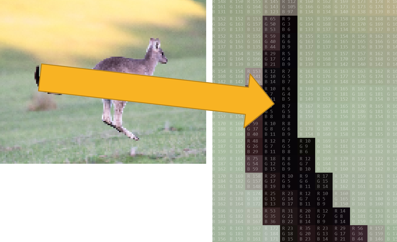 An image of a kangaroo on the left. On the right, the image has been magnified to show the colours of each pixel that make up a component of the image.