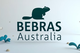Bebras Thumbnail