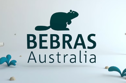 Bebras Thumbnail