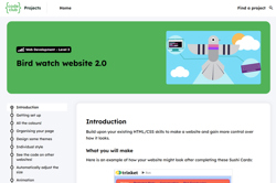 Bird watch website 2.0 Image