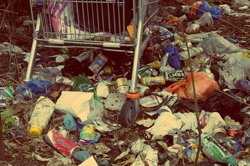 Collecting data about litter in the community (Years 3-4) Image