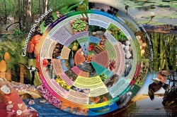 Seven seasons Image