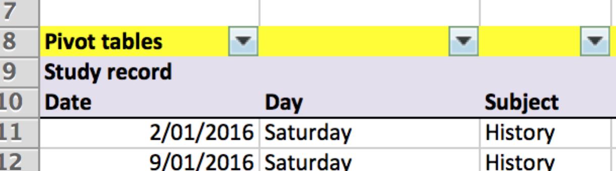 Image shows the data in the excel table with the top row highlighted with drop down arrows in each cell.