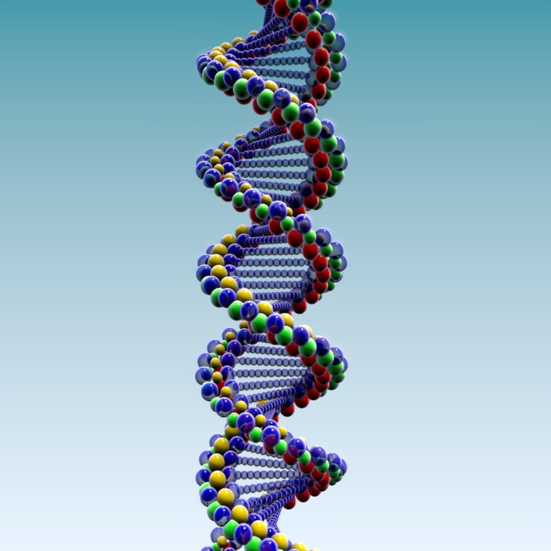 DNA double helix