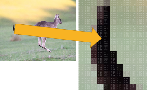 Pixel viewer screen capture: Kangaroo – the zoom-in on the right image shows RGB for each pixel