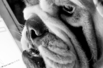 Microsoft Excel Activities Thumbnail