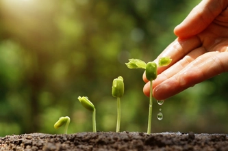 planting-fruit-and-vegetables_thumbnail.jpg