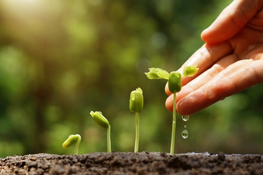 planting-fruit-and-vegetables_thumbnail.jpg