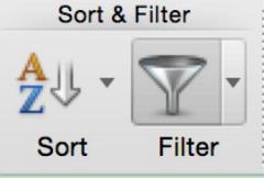 Image is a screen grab from the Microsoft Excel toolbar ribbon and shows the Sort and Filter icons