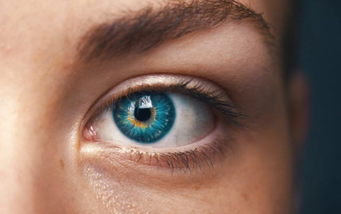 ai-data-bias_thumbnail.jpg