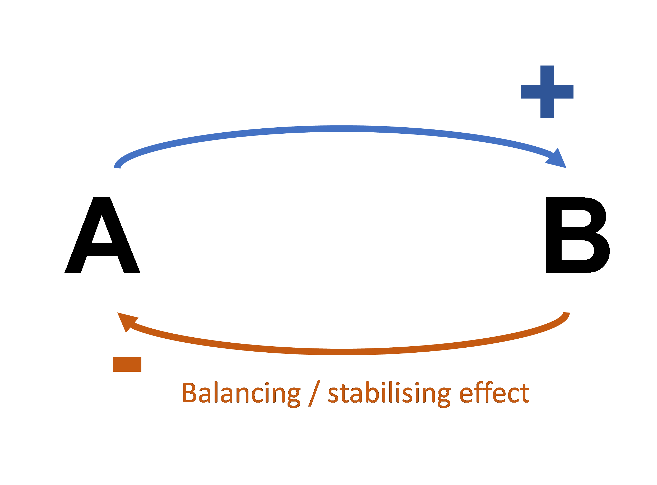 A diagram titled Balancing/ Stabilising effect that represents a negative feedback loop. A is linking to B via a positive arrow. B then links back to A via a negative arrow.