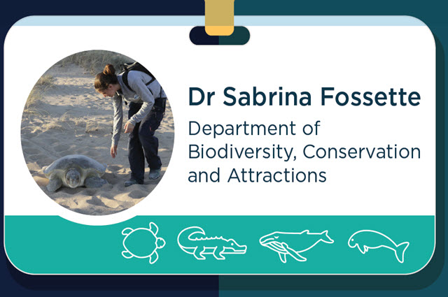 career-profile-sabrina-fossette-department-of-biodiversity-conservation-and-attractions.jpg