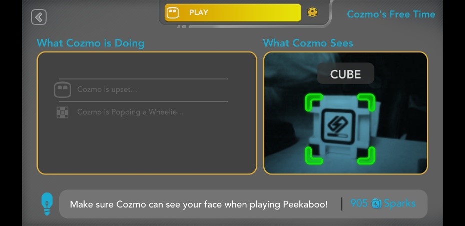 Image showing what What cozmo is thinking vs what Cozmo sees.