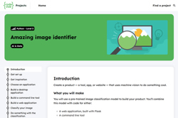 Amazing image identifier Image