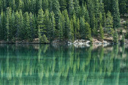 AI for Earth Image