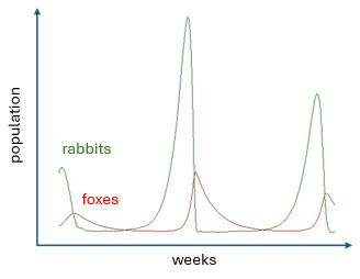 A graph showing rabbit and fox populations over time. Rabbit numbers rise sharply and then crash, while fox numbers increase shortly after the rabbit peaks and then decline.