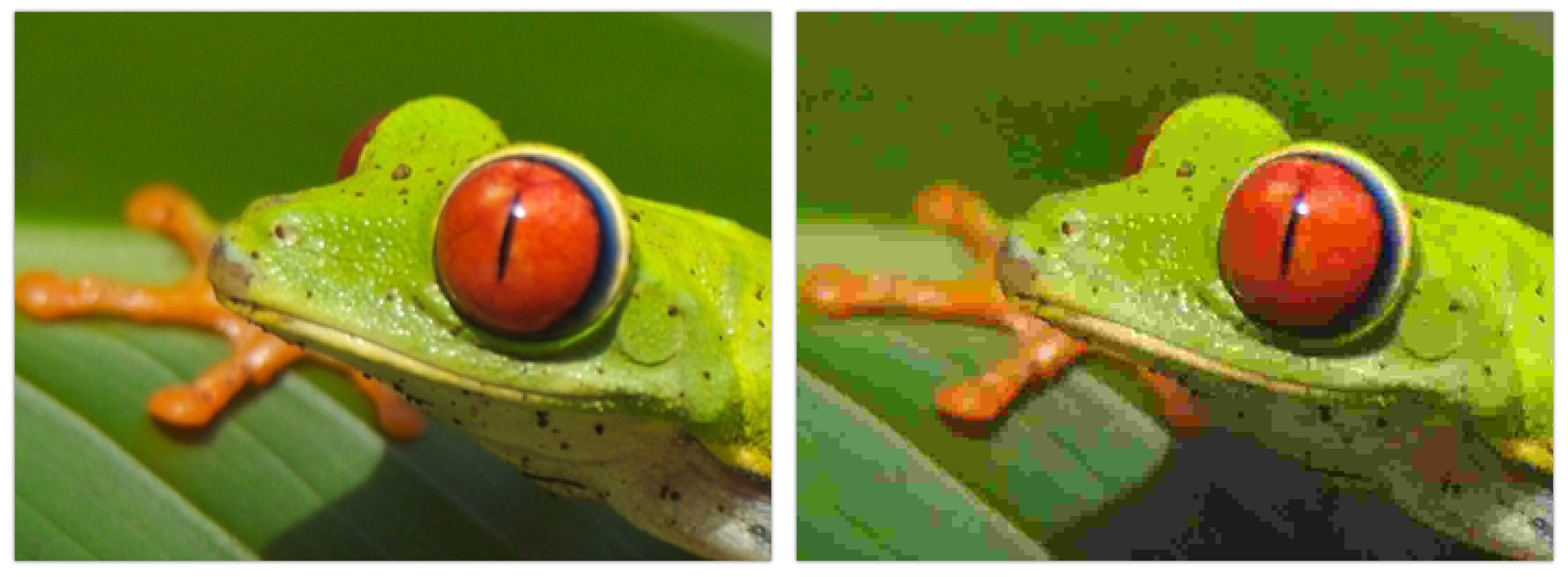 A clear photo of a frog beside a pixelated version of the same frog image, showing how pictures look when image resolution is reduced. 
