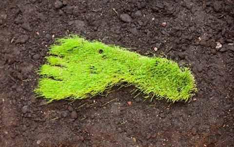 eco-calculator_thumbnail.jpg