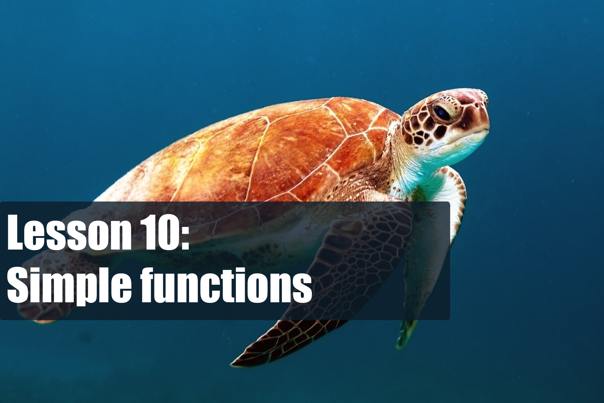 vttc_index-page_lesson-10.png