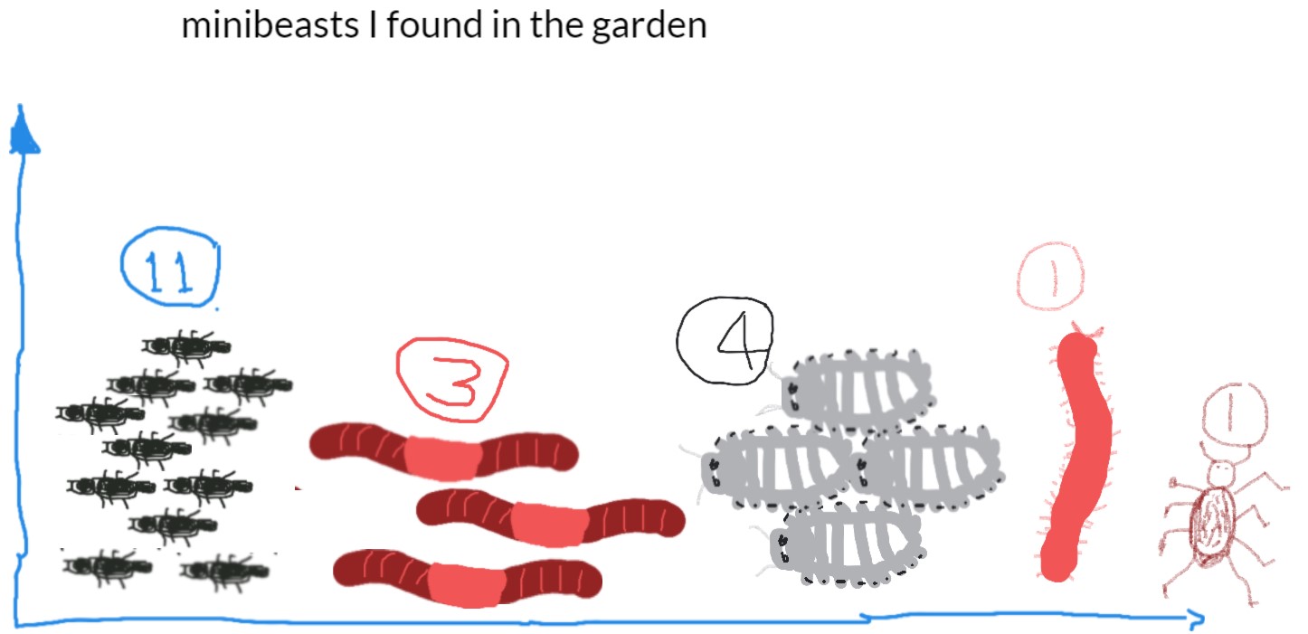 Graph showing amounts of insects found in a garden