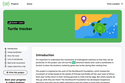 Turtle tracker Image