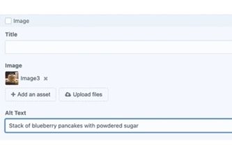 Alt Text Why Its Important For Accessibility And Seo Thumbnail