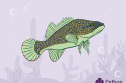 DT Challenge - 7/8 Python - Biology Extension Image