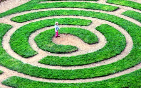 Ozobot Maze Challenge Image