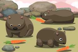 Wombot Carrot Hunt Image