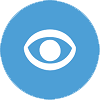 Limited, low, or no vision icon