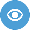 Limited, low, or no vision icon