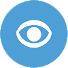 Limited, low or no vision icon