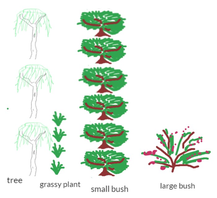 Picture graph of plants found in the garden. It displays three trees, four grassy plants, six small bushes and one large bush.