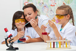 Career pathways​ Image
