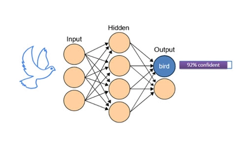 image-classification-a-human-computer-approach_thumbnail.jpg