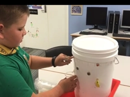 students-inspiring-projects_denver_queens-state-school.jpg