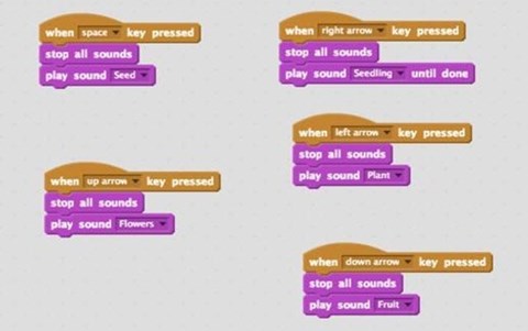 Create a Scratch account — lesson. Science State Board, Class 10.